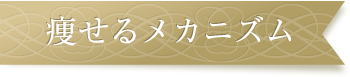 痩せるメカニズム